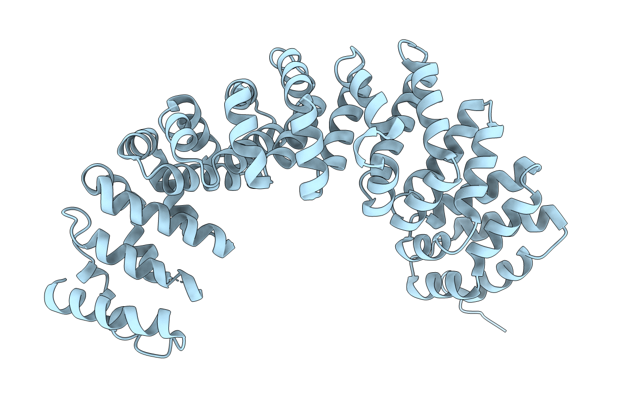 5XGC image