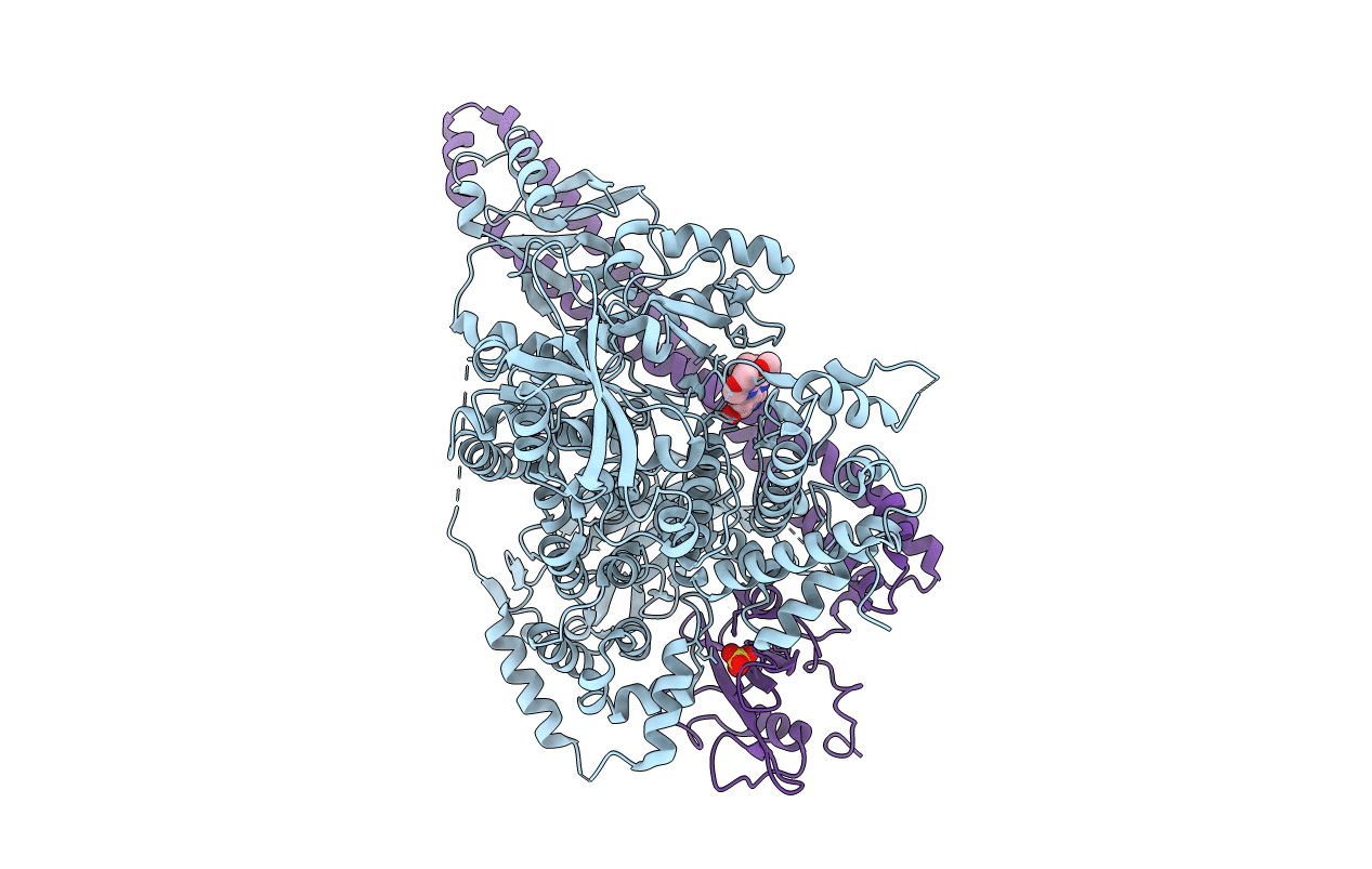 5XGJ image