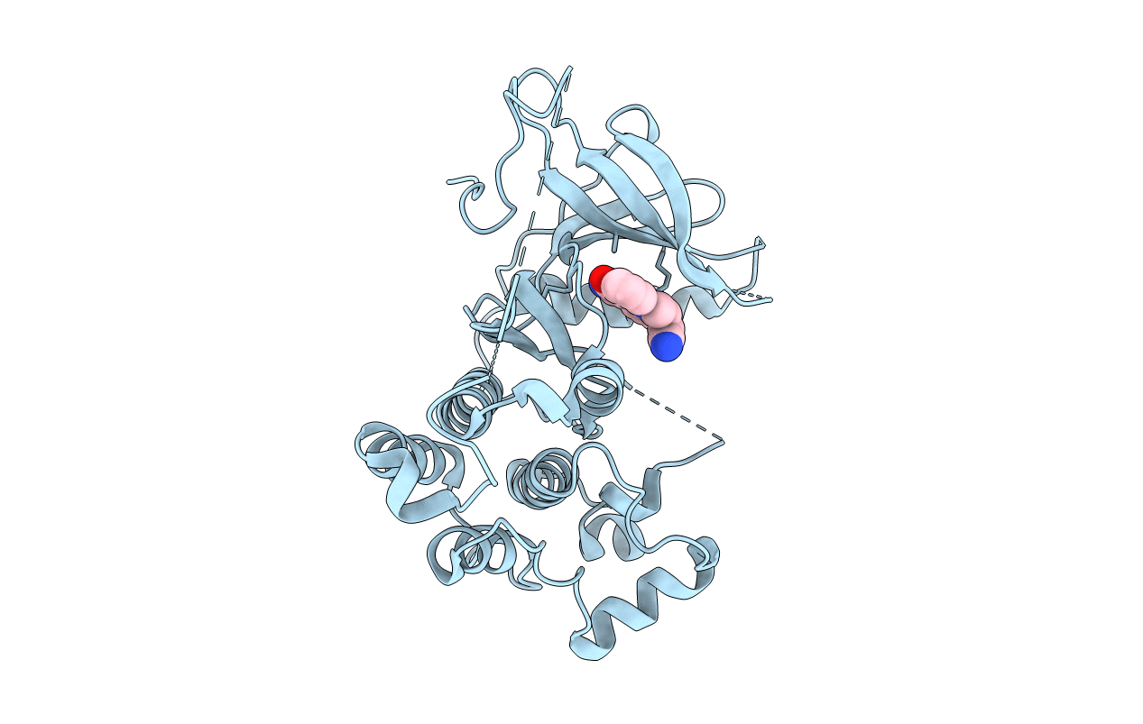 5XGM image