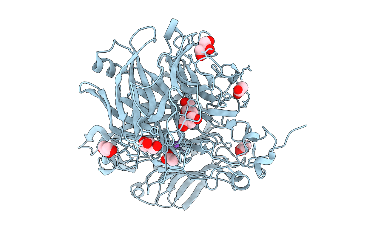 5XH8 image