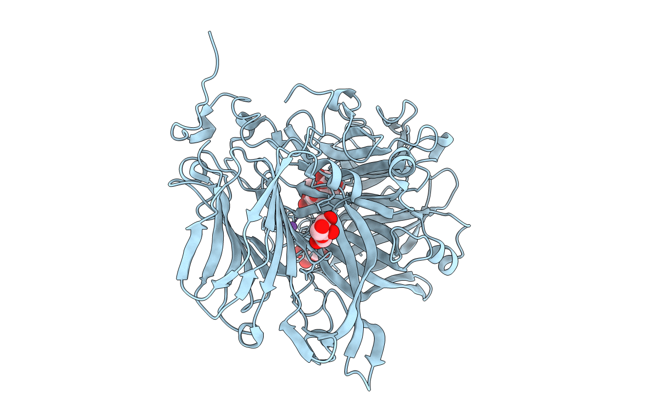 5XHA image