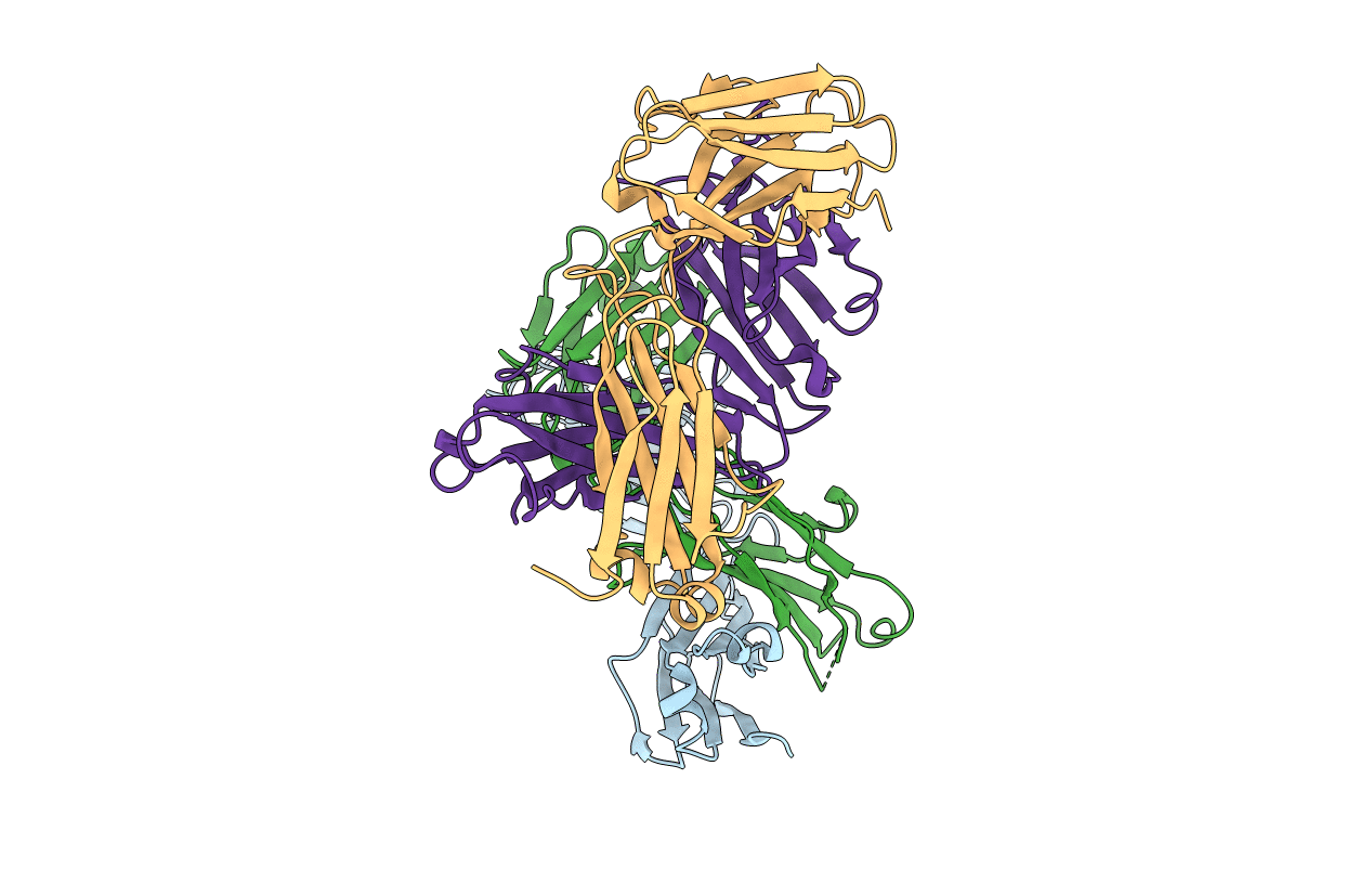 5XHF image