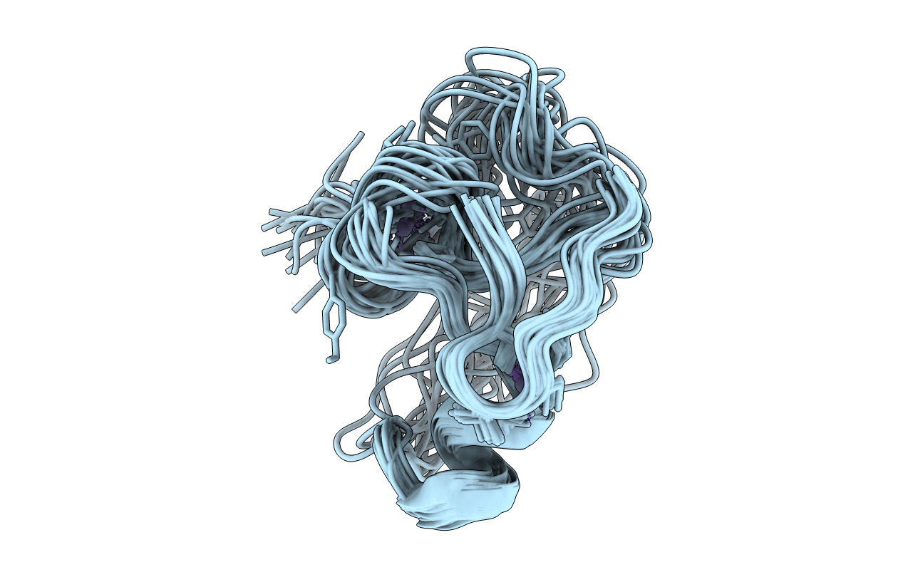 5XHT image