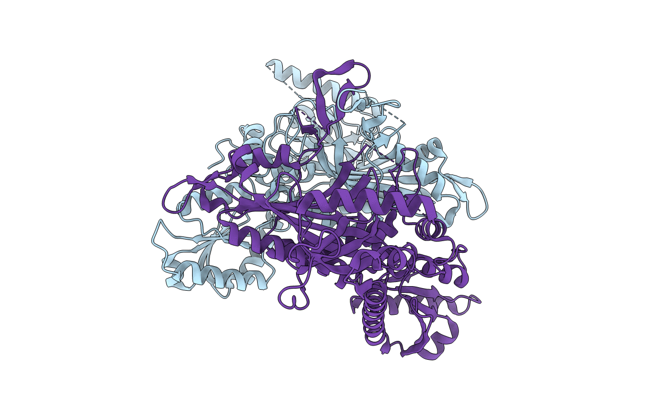5XIF image