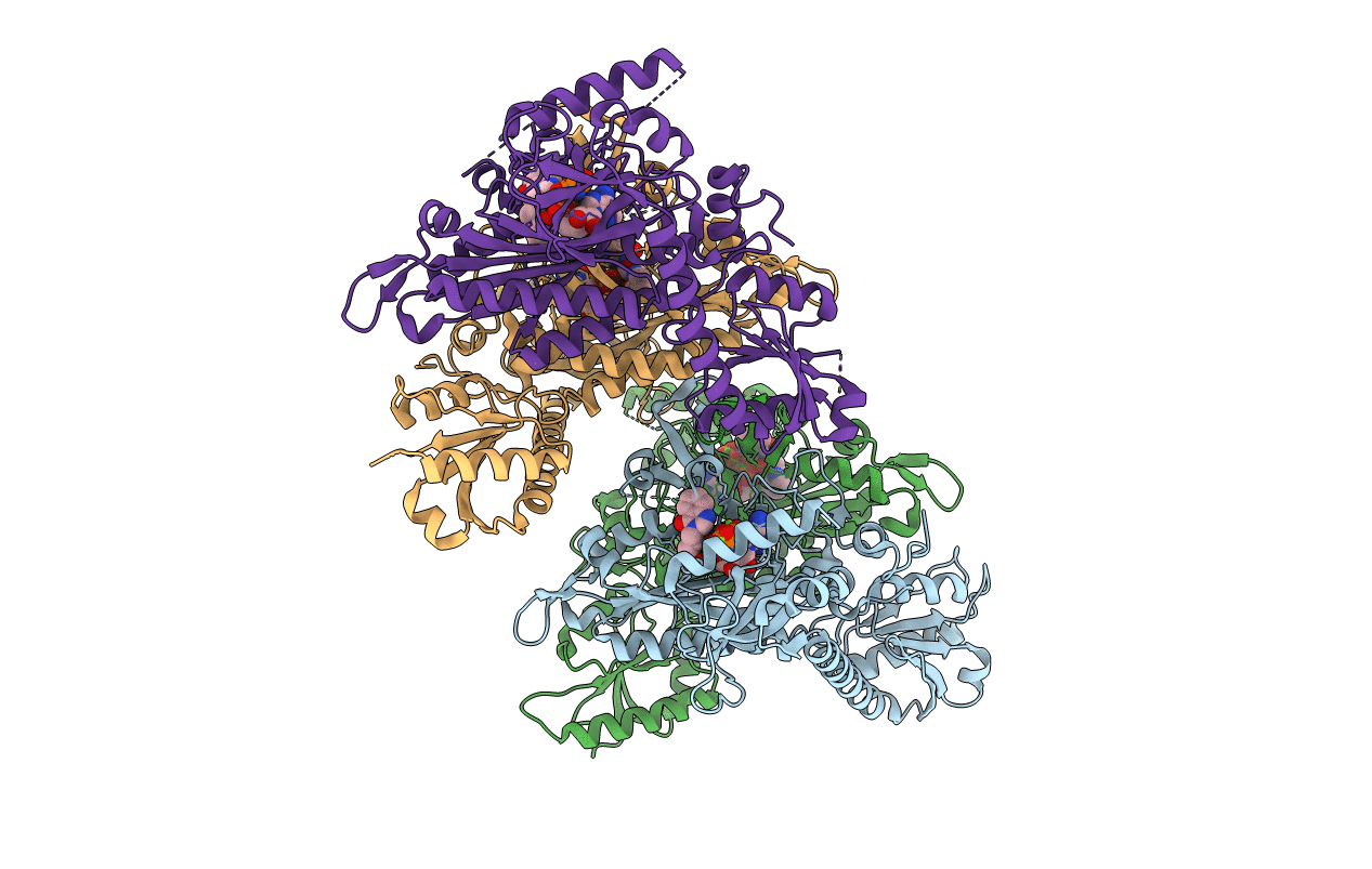 5XIJ image