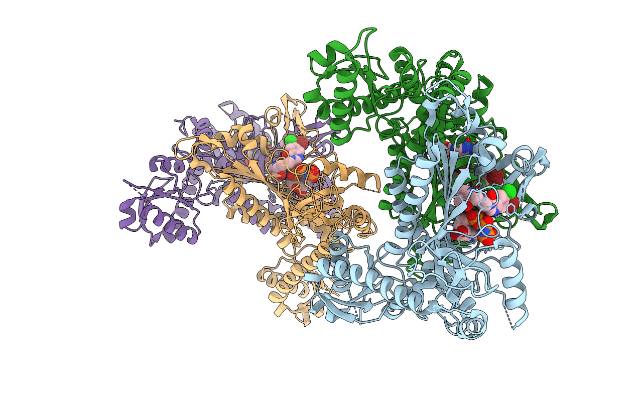 5XIP image