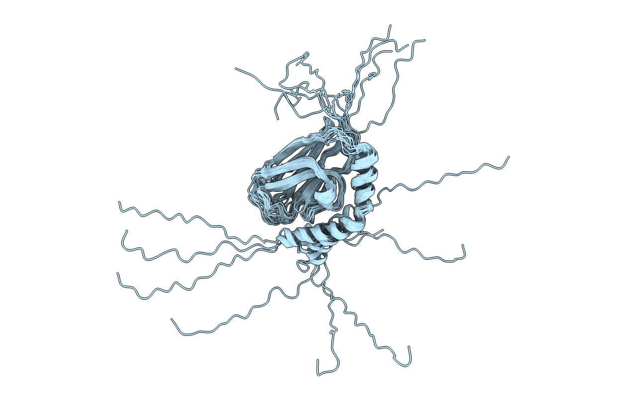 5XIR image