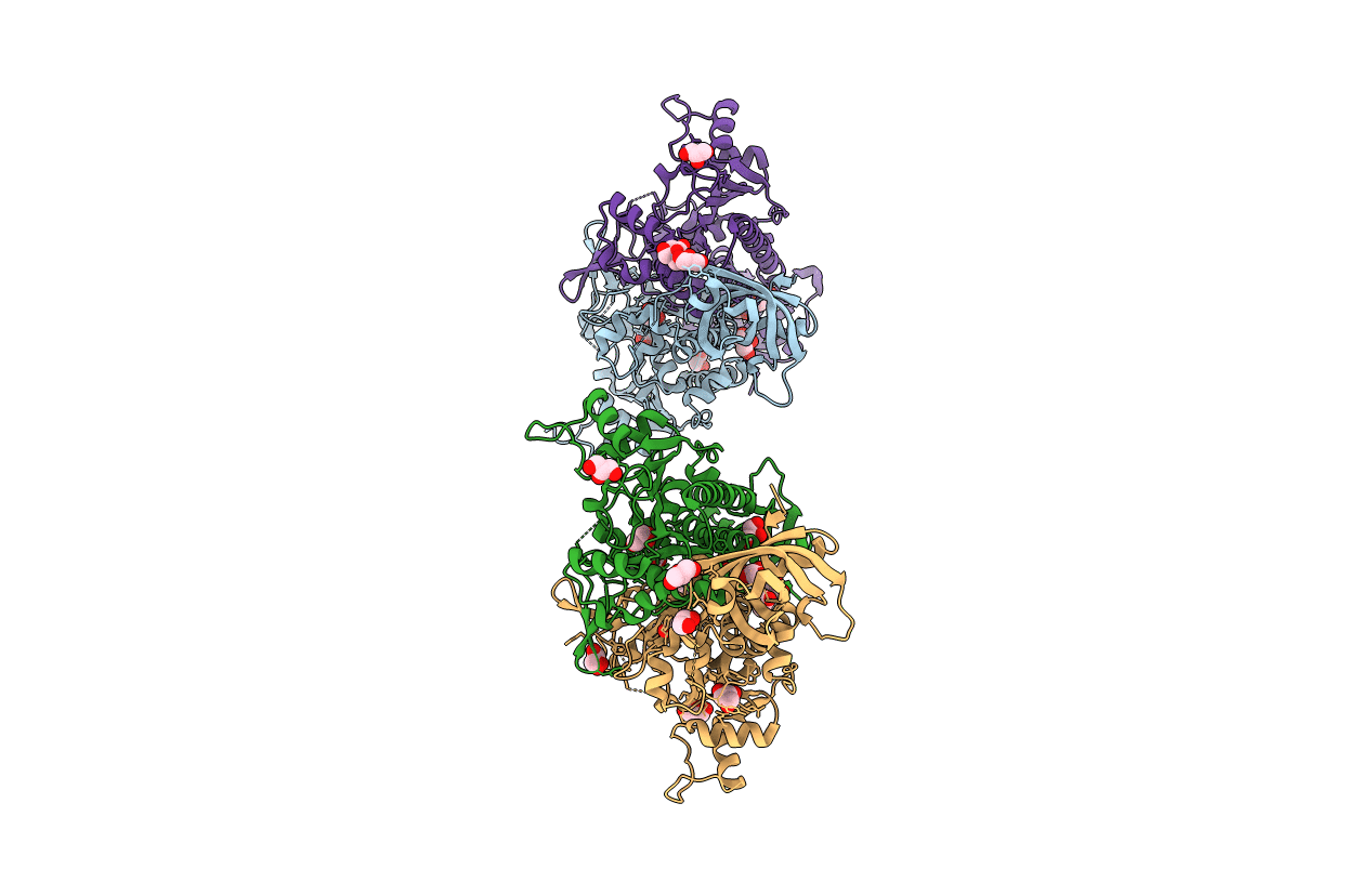 5XIX image