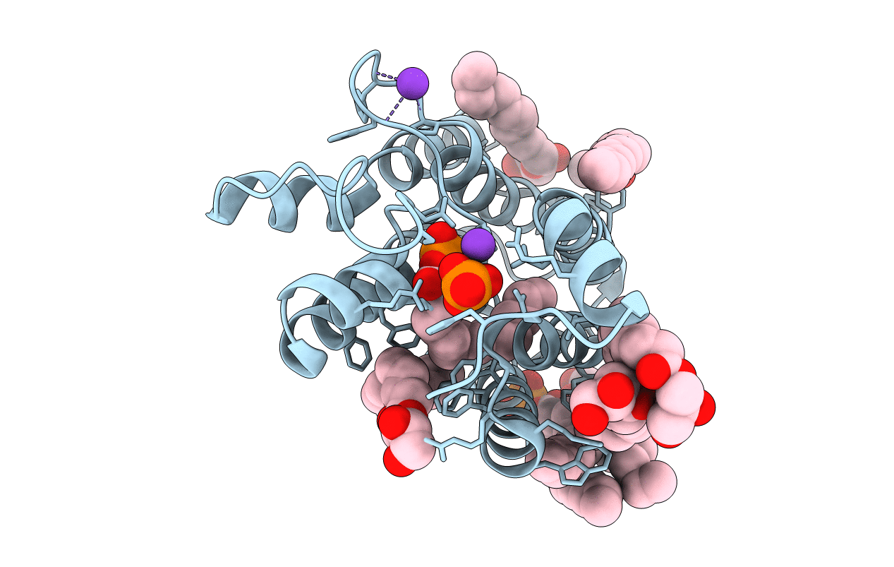 5XJ7 image