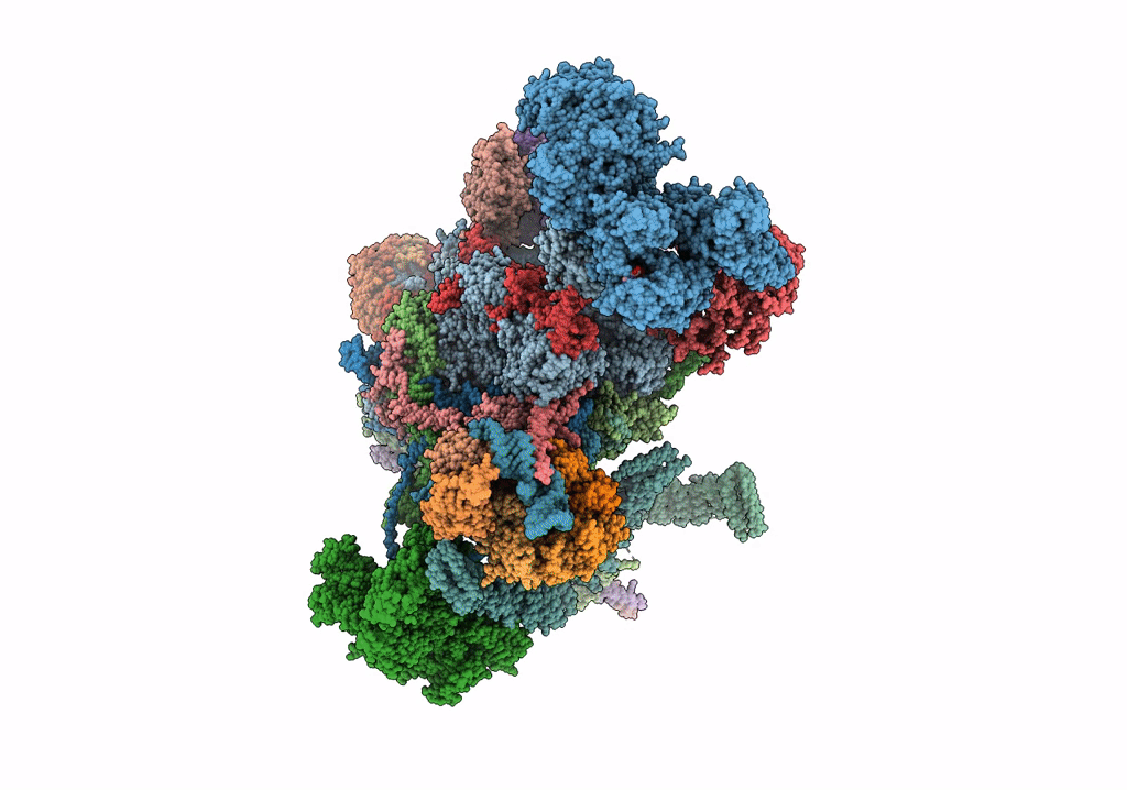 5XJC image