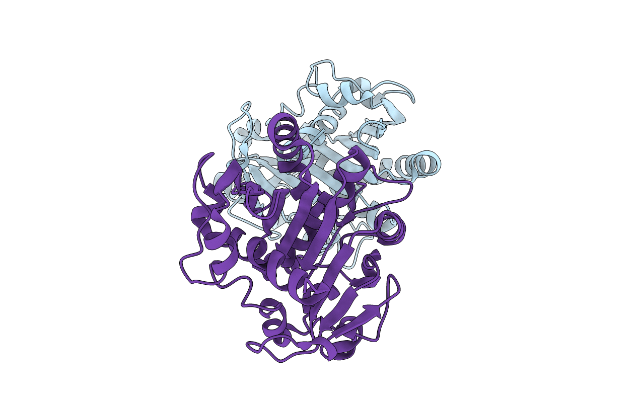 5XK2 image