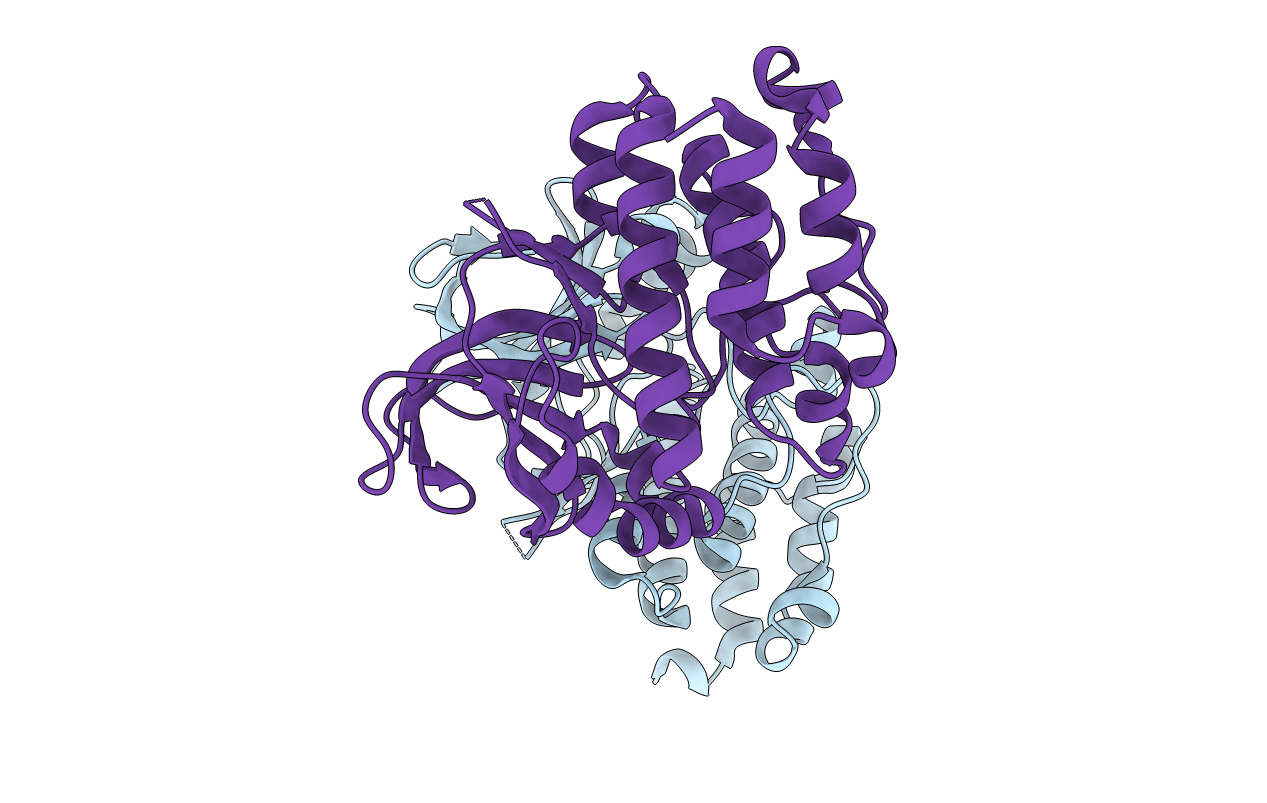 5XKA image