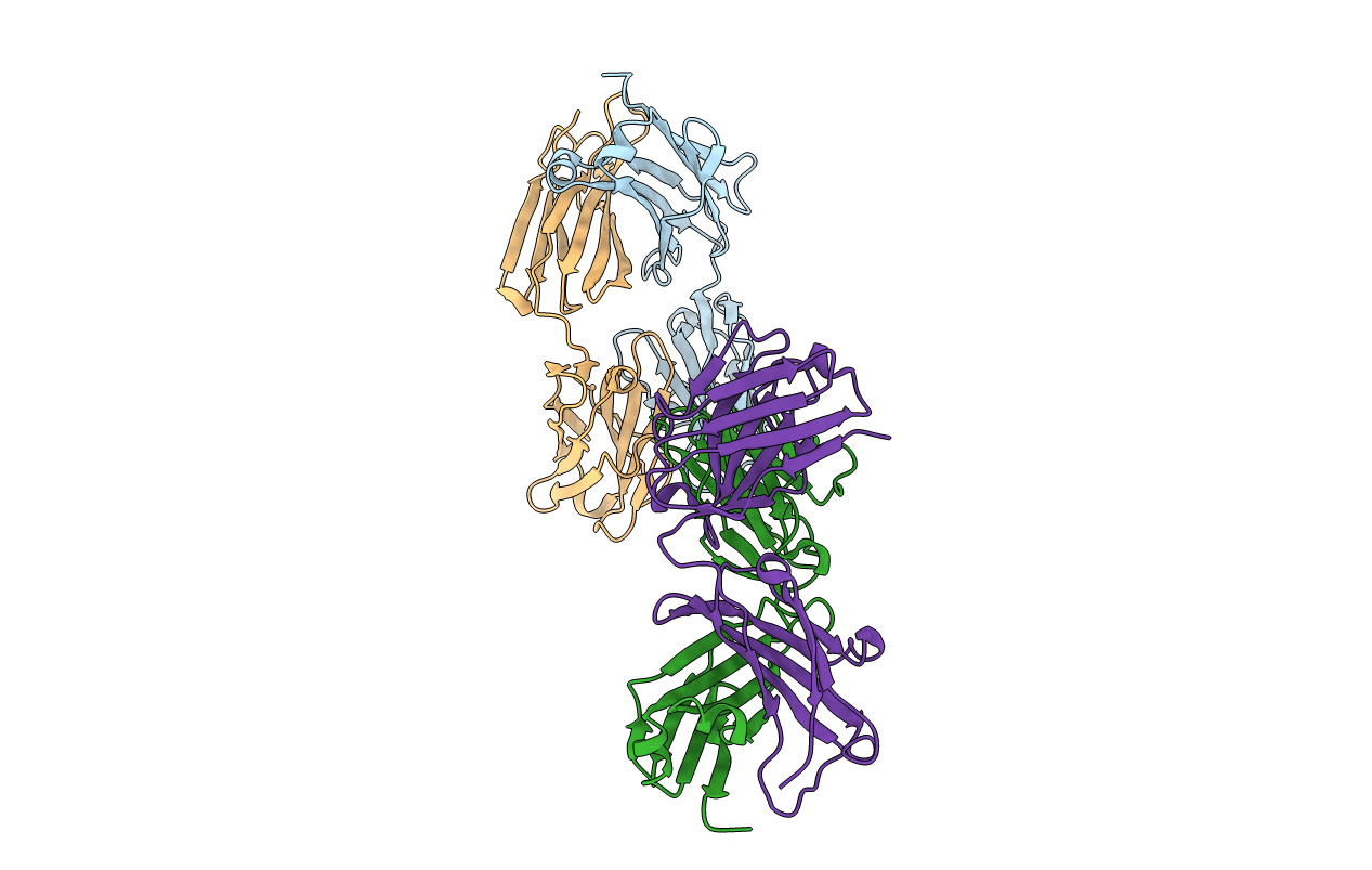 5XLI image