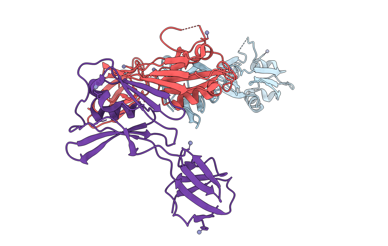 5XLK image