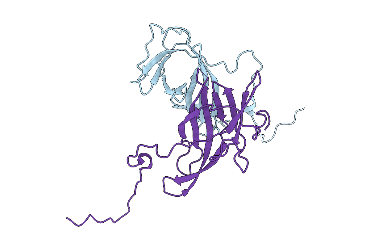 5XLL image