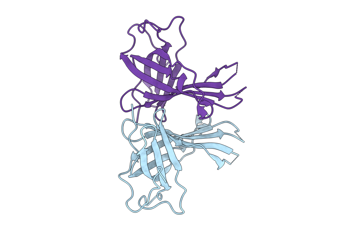 5XLM image