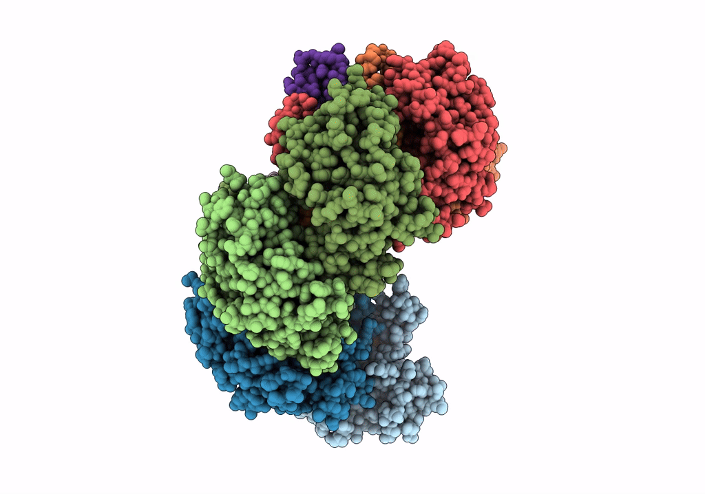 5XLO image