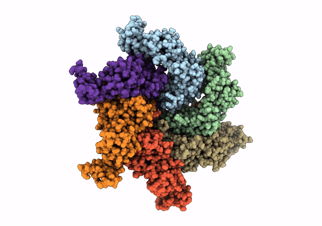 5XMI image