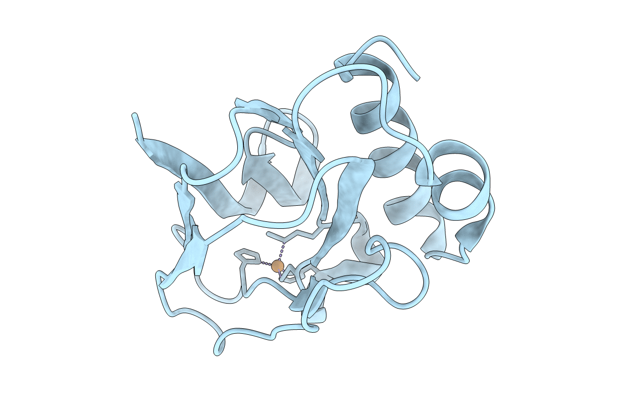 5XMO image