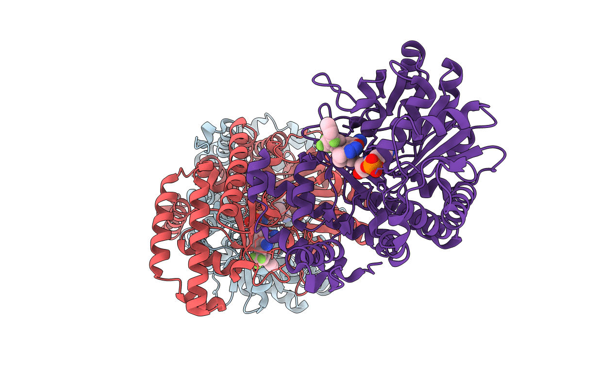 5XMS image