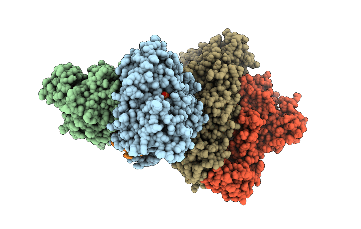 5XN1 image