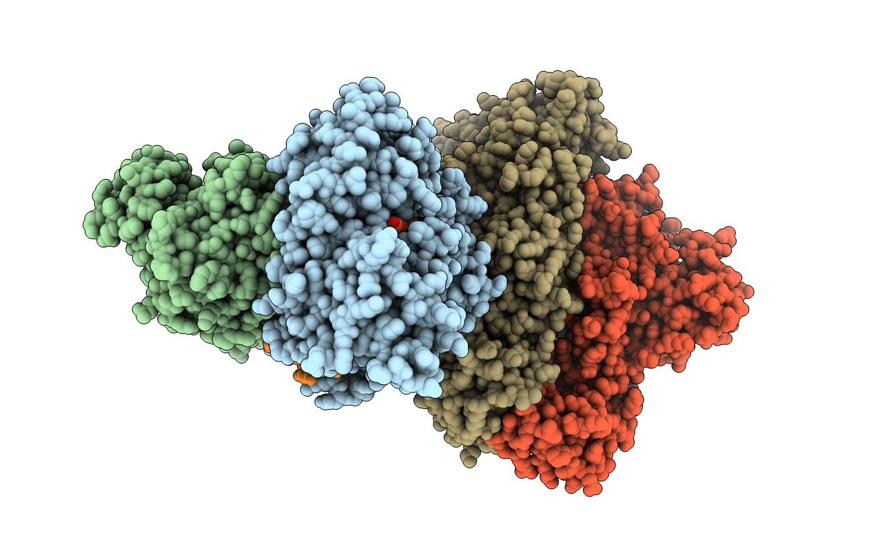 5XN2 image