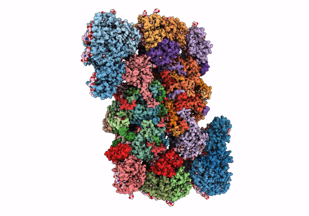 5XNL image
