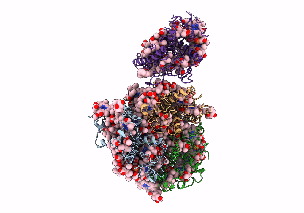 5XNN image