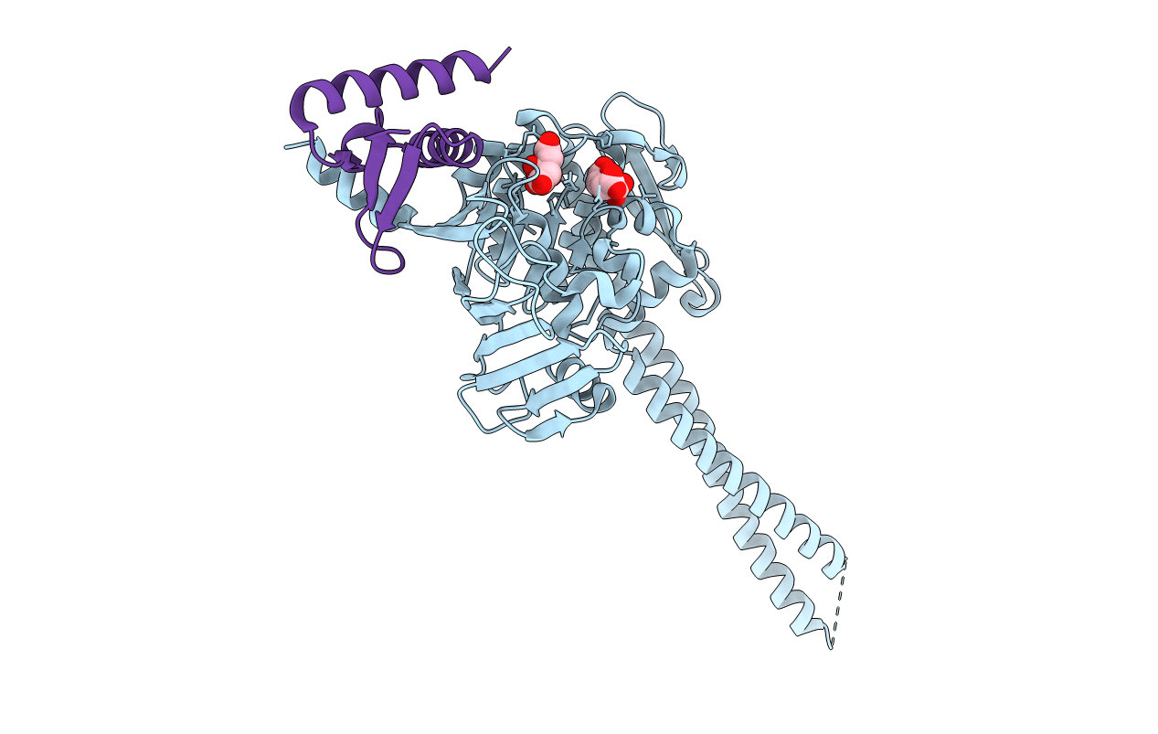 5XNS image