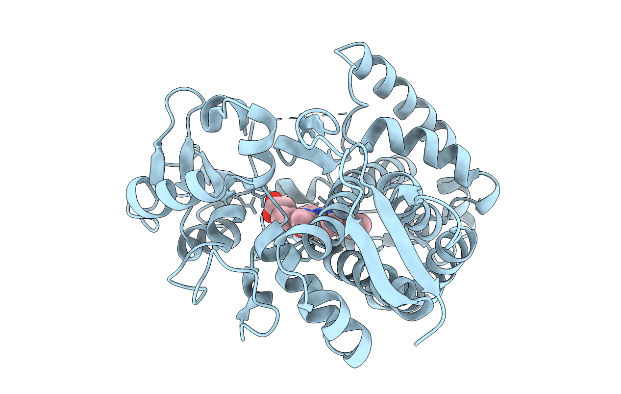5XNT image
