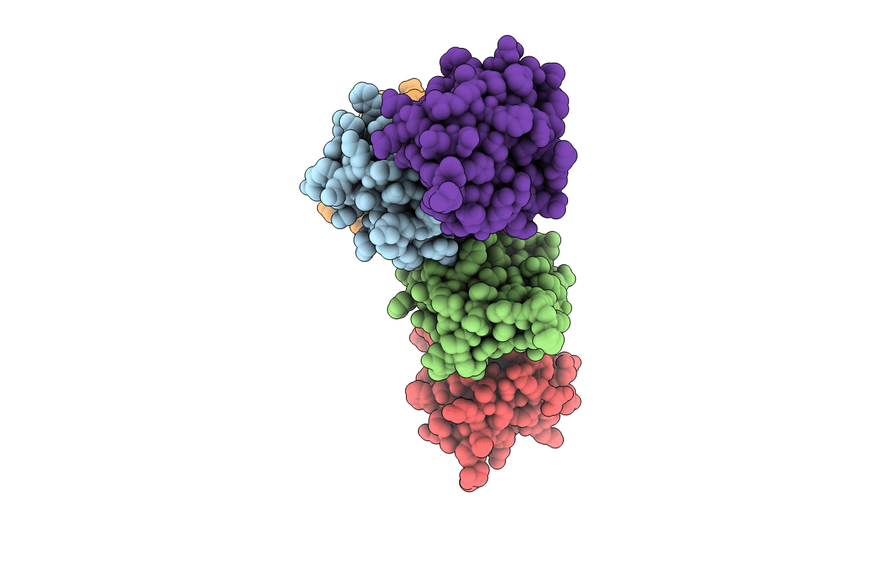 5XOR image