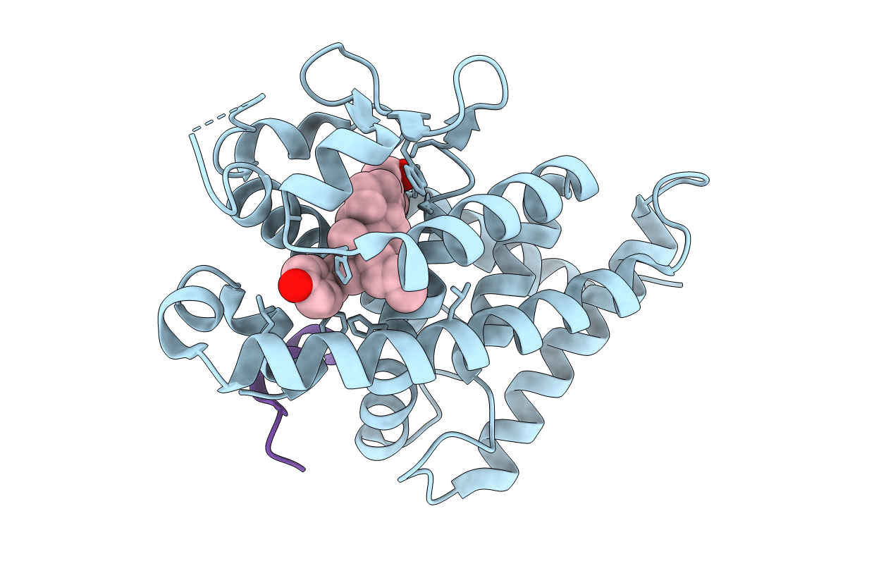 5XPM image