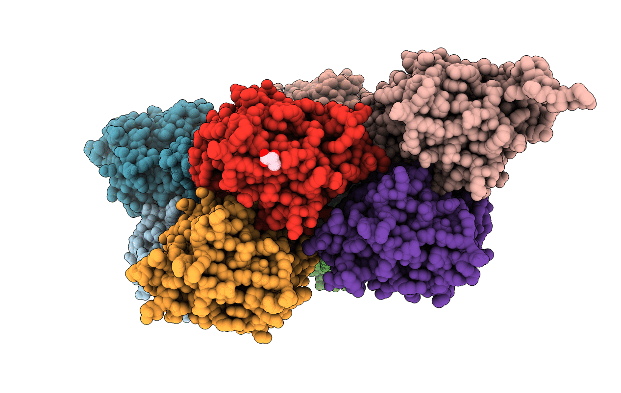 5XR2 image