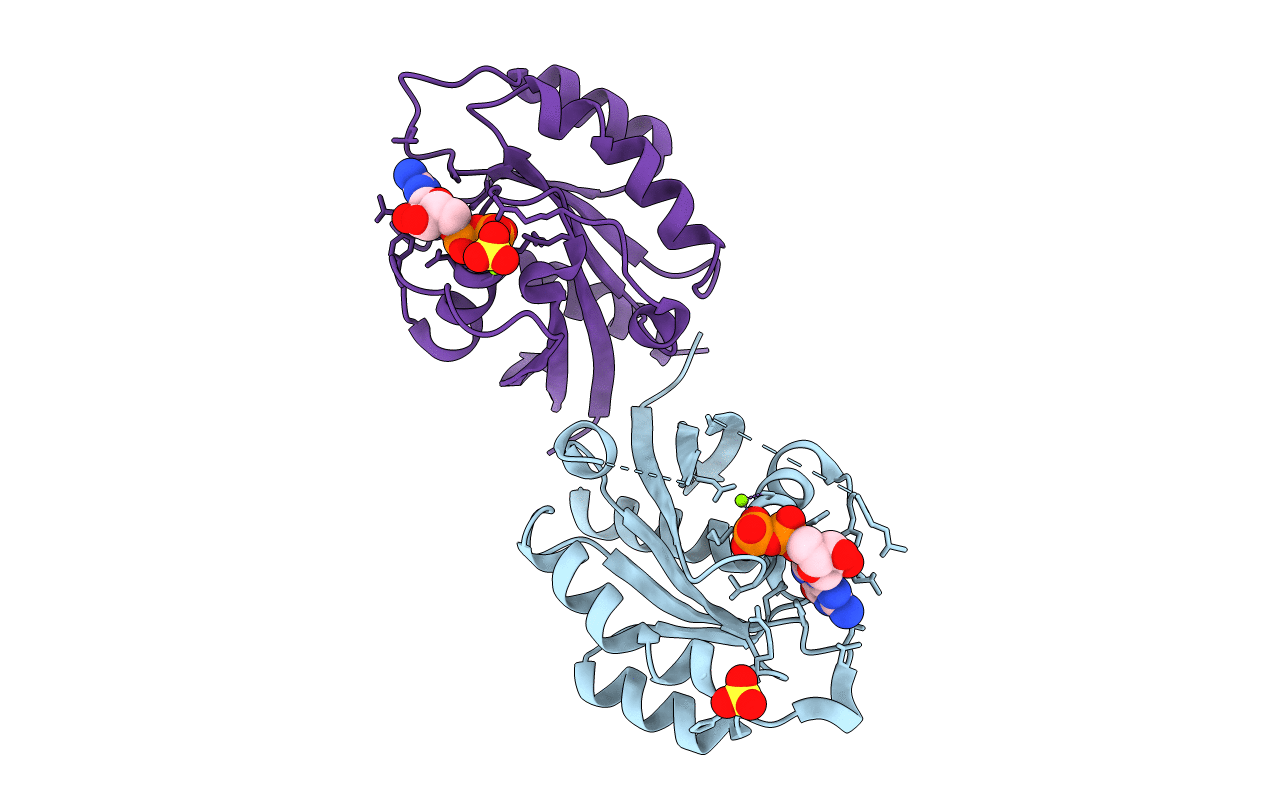 5XR4 image