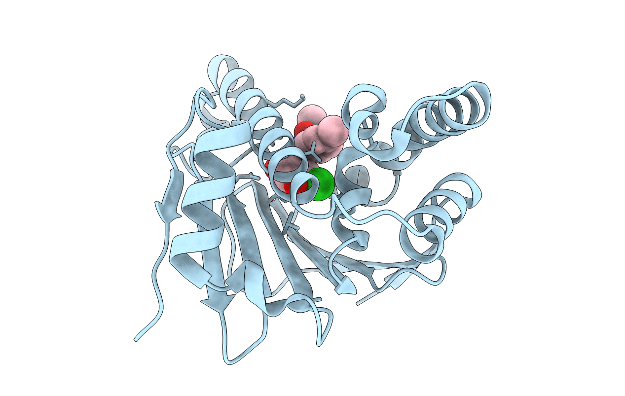 5XR5 image