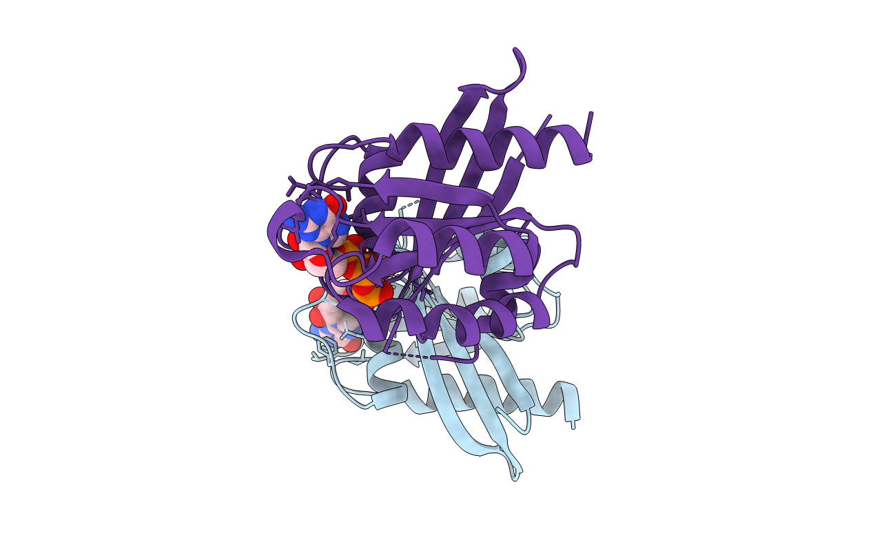 5XR7 image