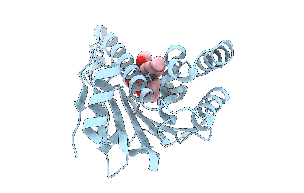5XRD image