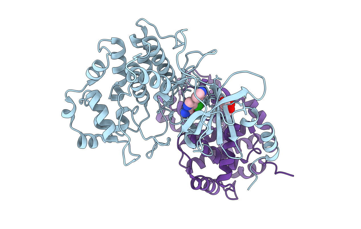 5XS2 image
