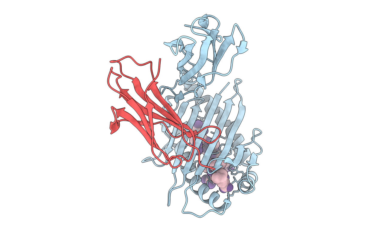 5XS3 image