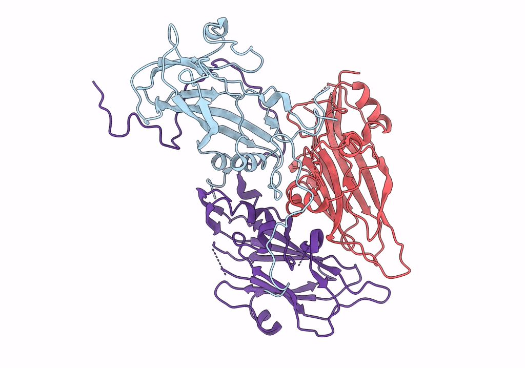 5XS4 image