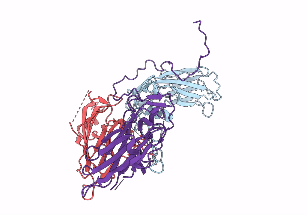 5XS5 image