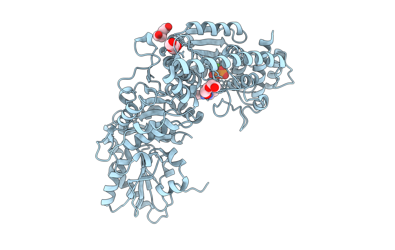 5XS6 image
