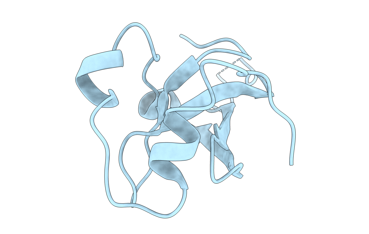 5XSL image