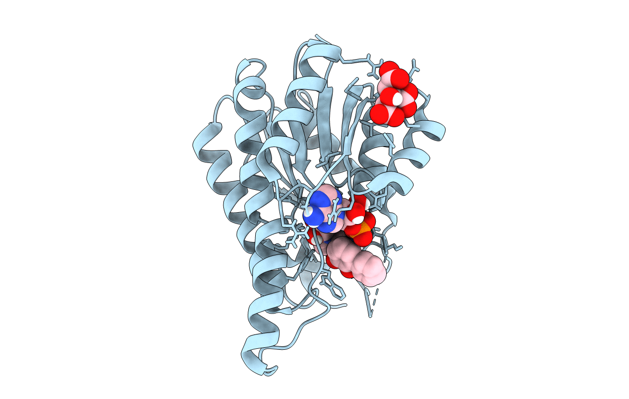 5XTG image