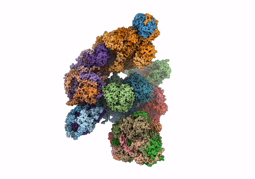 5XTI image