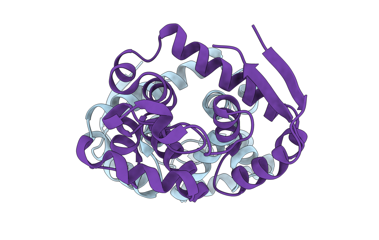 5XTJ image
