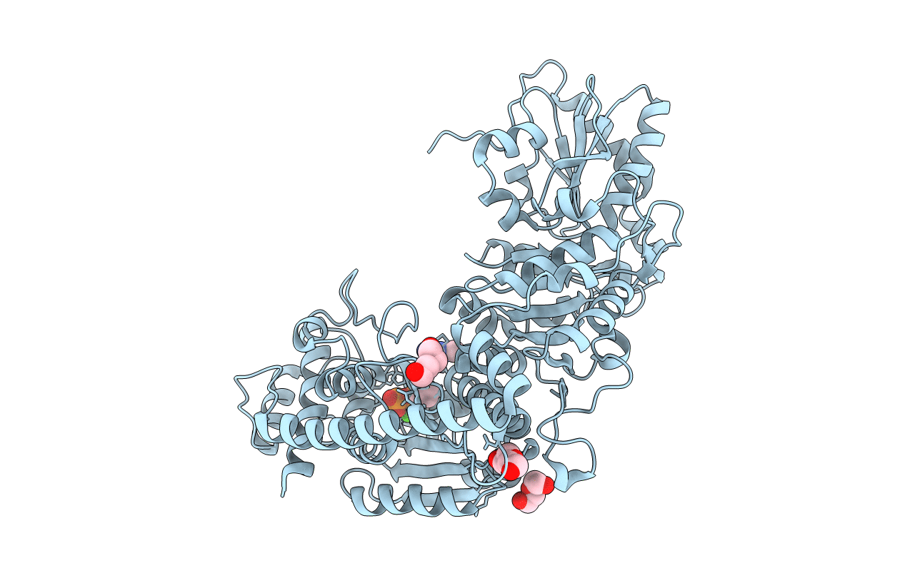 5XTL image