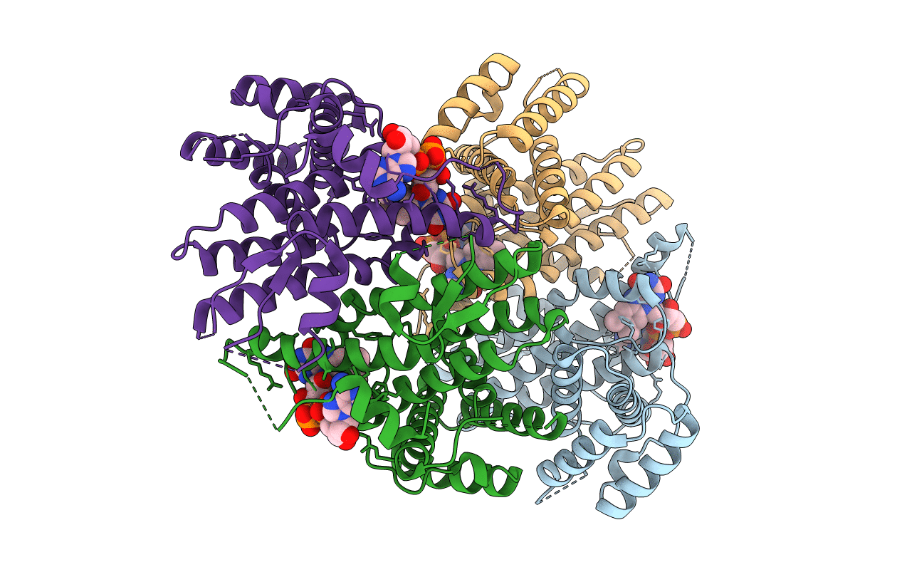 5XTR image