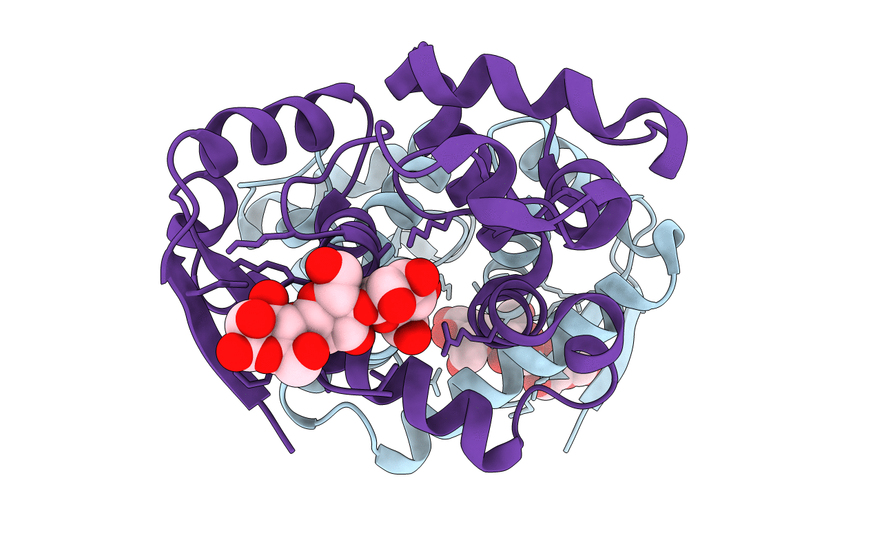 5XTT image