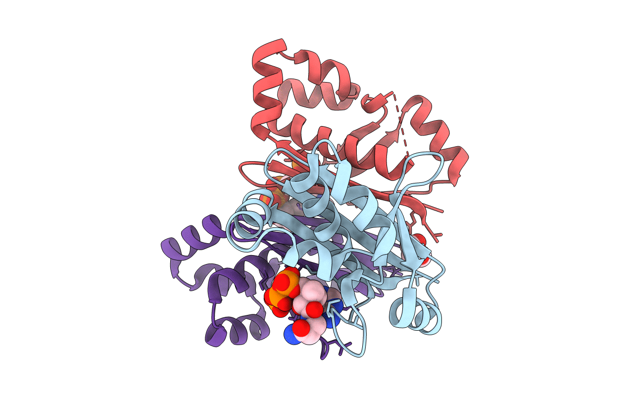 5XUH image
